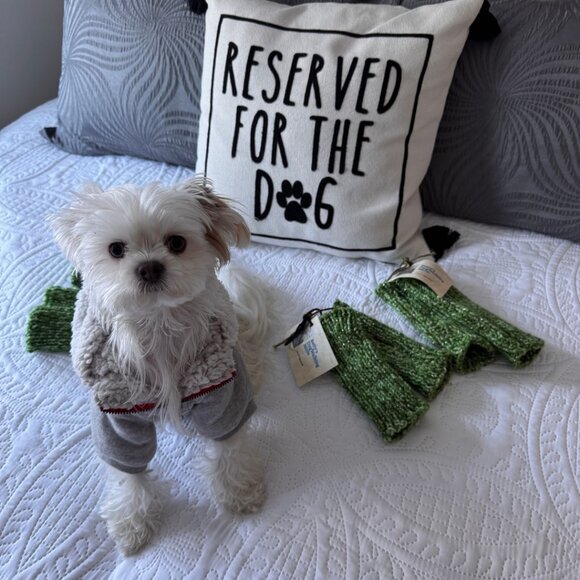 Fingerless Gloves Green Handmade "Dog Walking Mitts" - Salty Approved! NEW - Picture 1 of 4